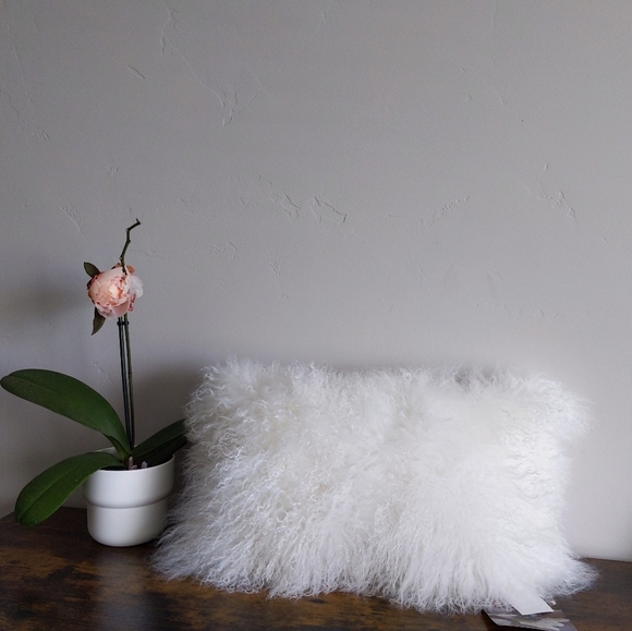 🆕🌿SHEEPSKIN ACCENT PILLOW🌿 - Picture 4 of 8